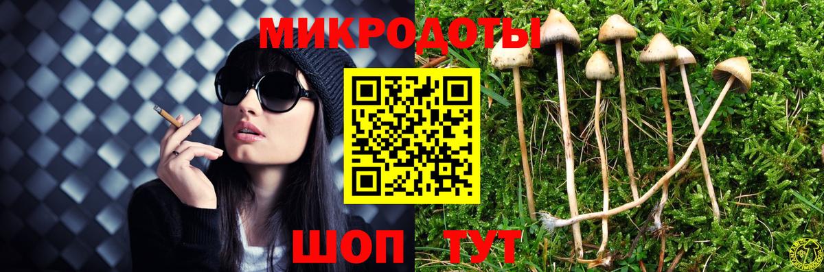 Галлюциногенные грибы MAGIC MUSHROOMS Кизляр
