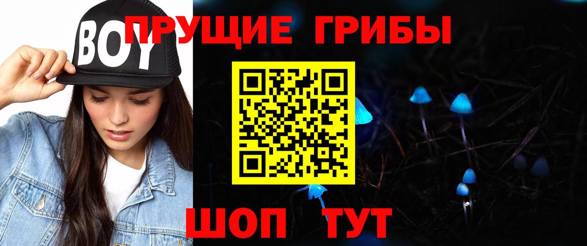 Псилоцибиновые грибы мицелий  Вход с VPN  Кизляр 