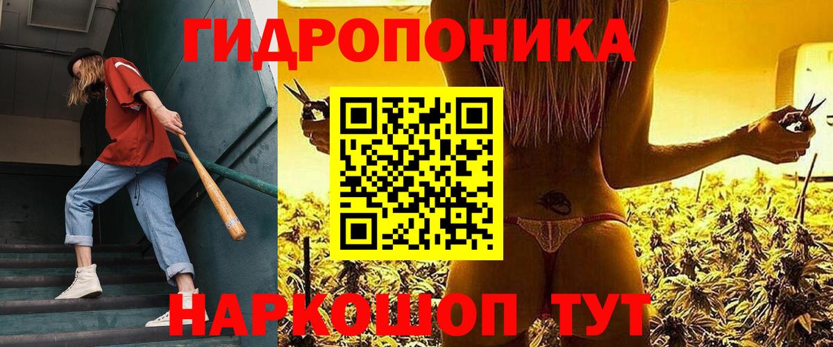 Кизляр  Шишки марихуана планчик  Канабис сатива  Вход с VPN 